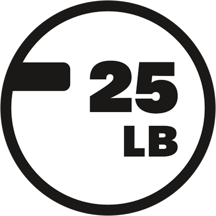 Award icon